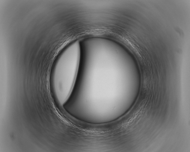 X0000115830530200911131129