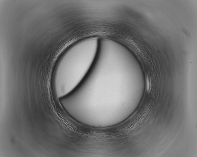 X0000115830531200911131129