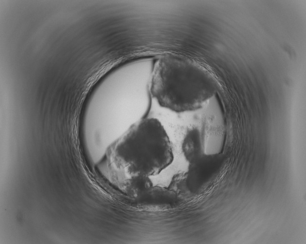 X0000115830533200911131129