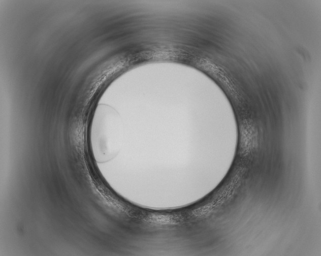 X0000115830534200911131129