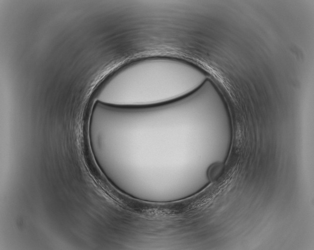 X0000115830535200911131129