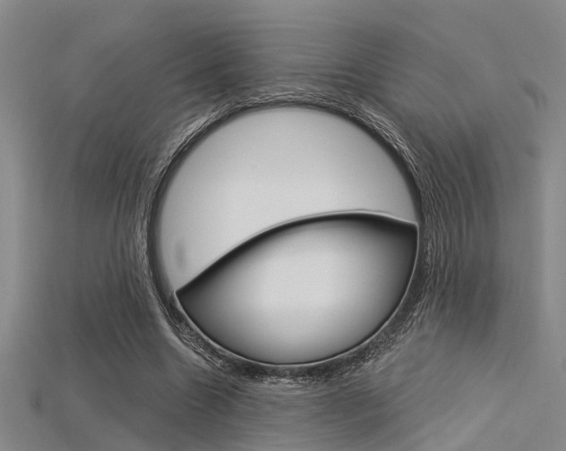 X0000115830538200911131129