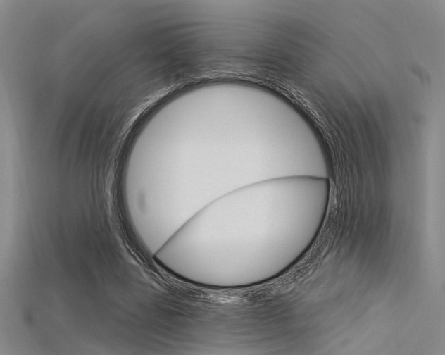 X0000115830539200911131129