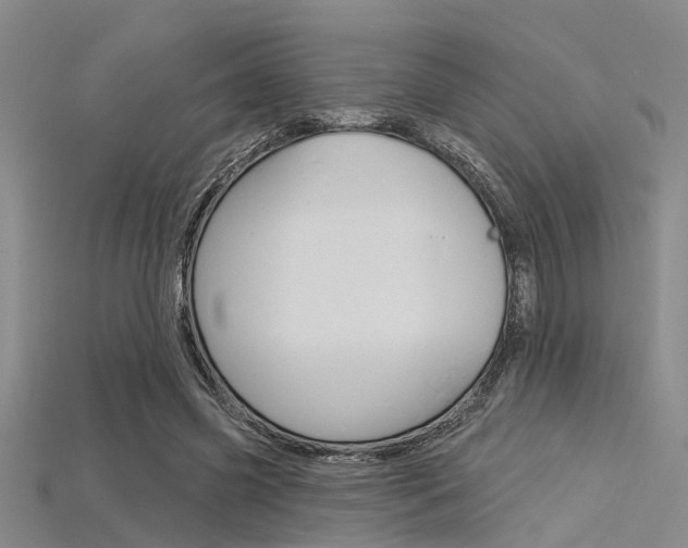 X0000115830541200911131129