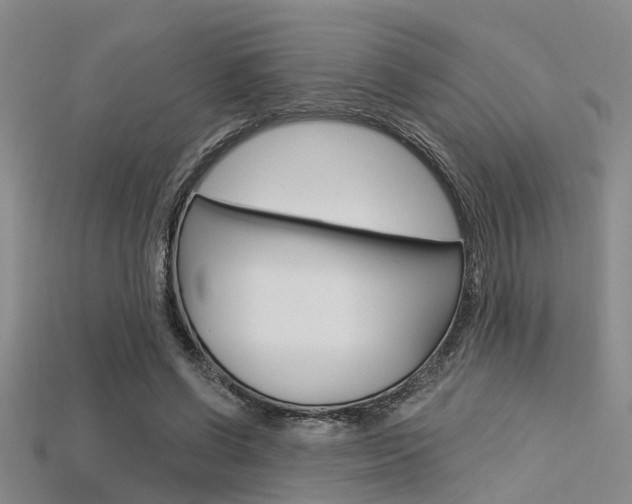 X0000115830542200911131129
