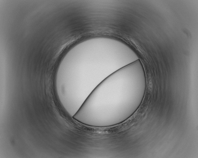 X0000115830543200911131129