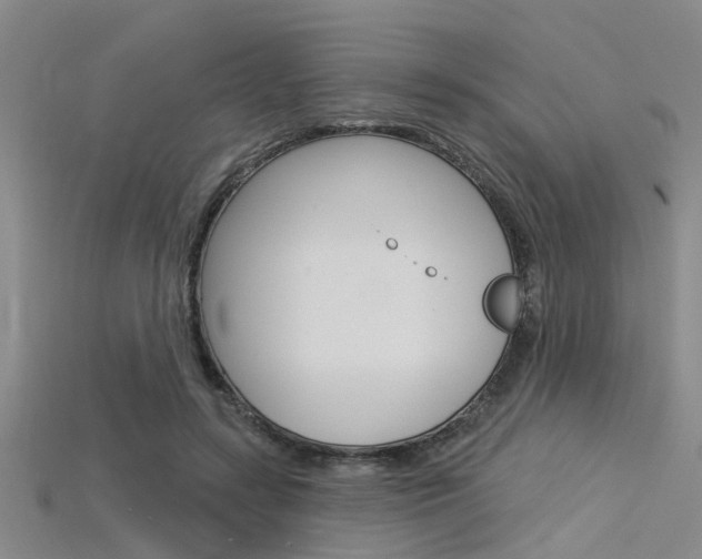 X0000115830547200911131129
