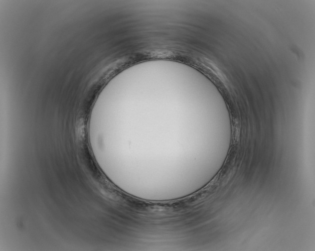 X0000115830549200911131129