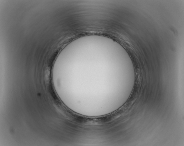 X0000115830550200911131129