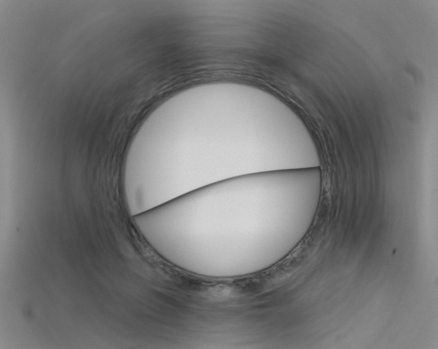 X0000115830551200911131129