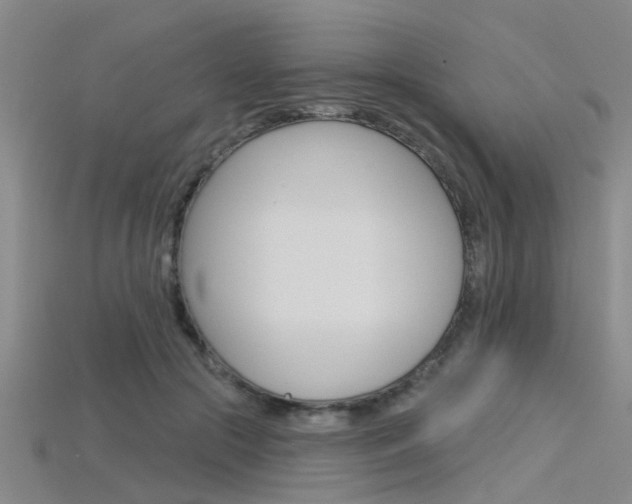 X0000115830553200911131129