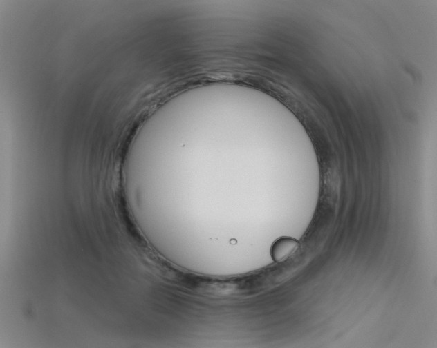 X0000115830554200911131129