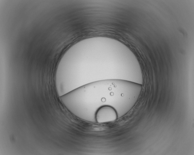 X0000115830555200911131129