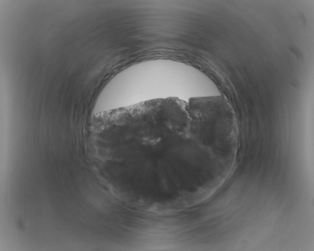 X0000115830561200911131129