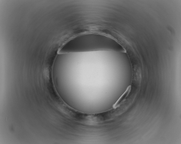 X0000115830562200911131129