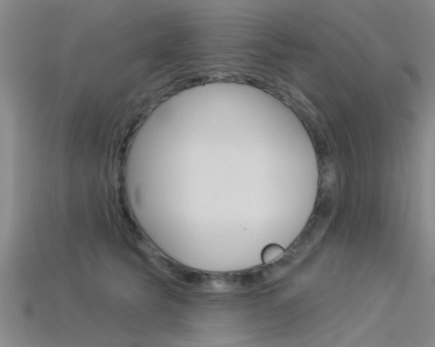 X0000115830565200911131129