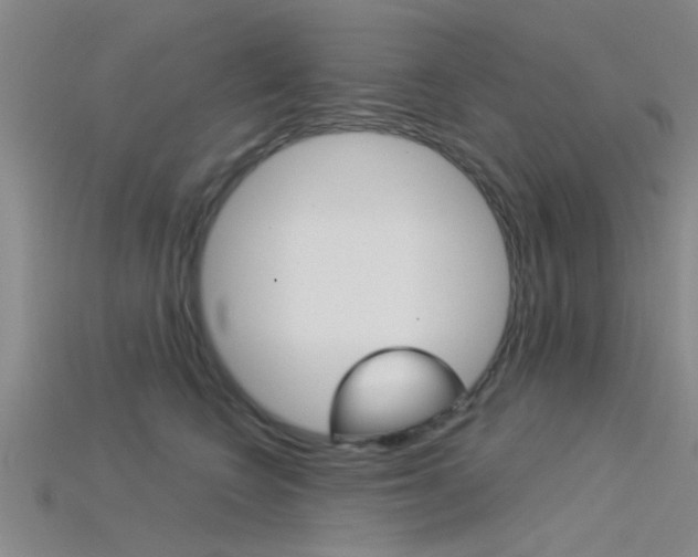 X0000115830566200911131129