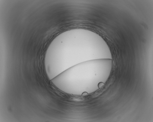 X0000115830567200911131129