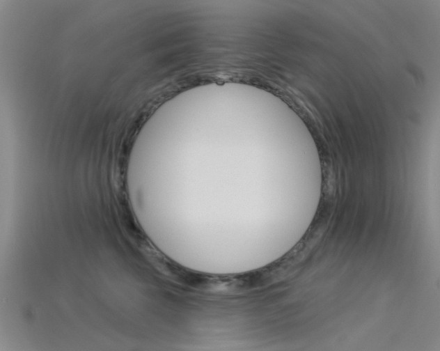 X0000115830569200911131129