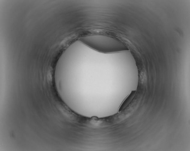 X0000115830570200911131130