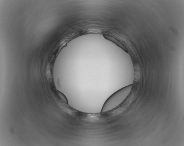 X0000115830573200911131130