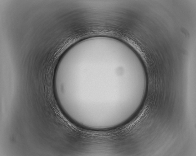 X0000115830577200911131129
