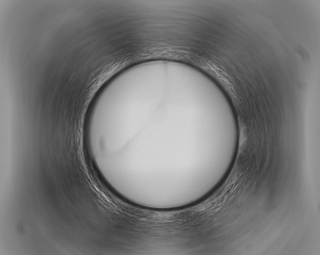 X0000115830578200911131129