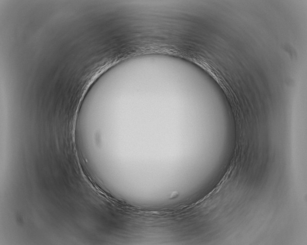 X0000115830579200911131129