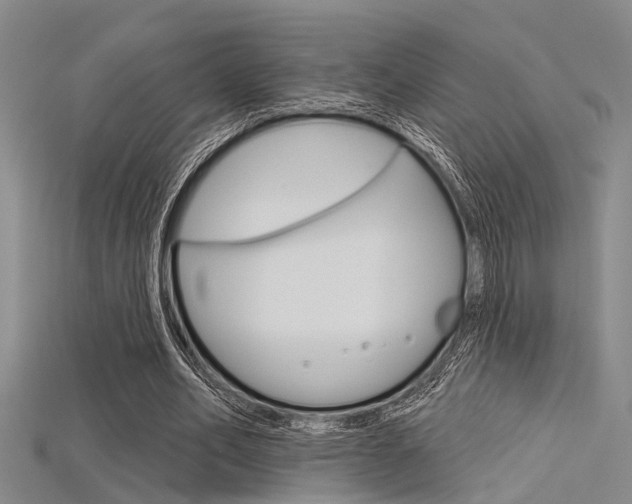 X0000115830582200911131129