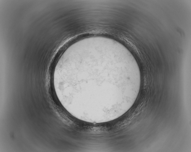X0000115830584200911131129
