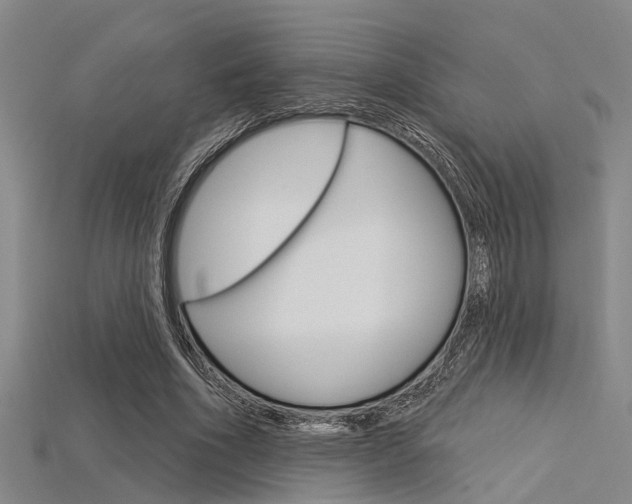X0000115830586200911131129