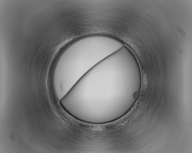 X0000115830587200911131129