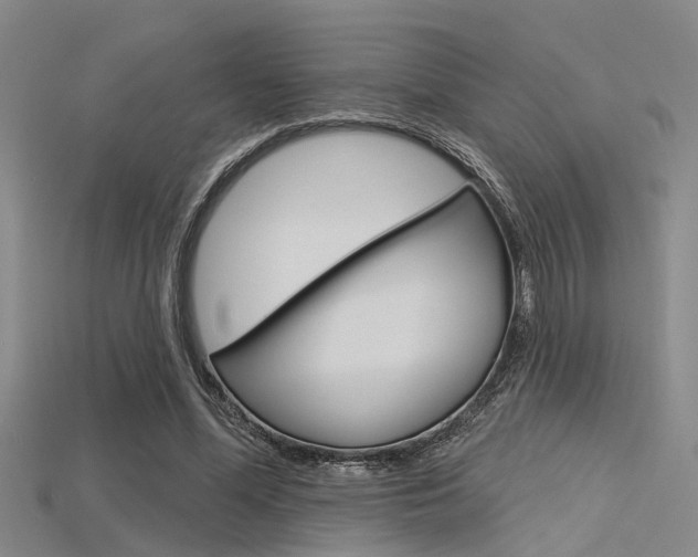 X0000115830588200911131129