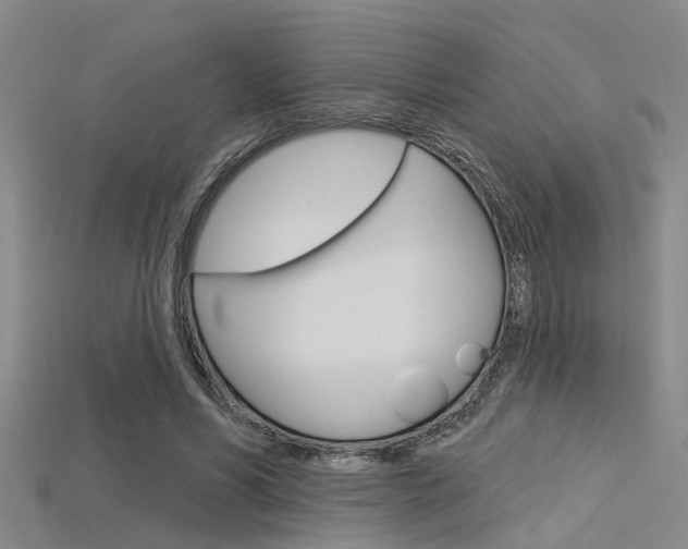 X0000115830590200911131129