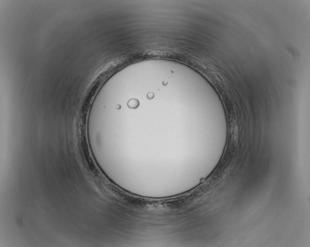 X0000115830591200911131129
