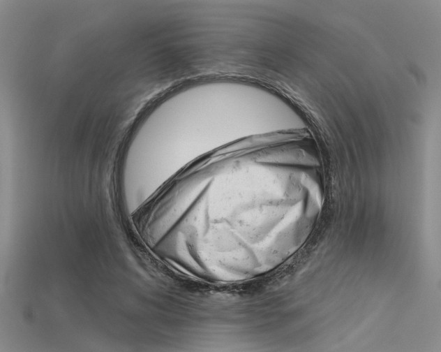 X0000115830592200911131129