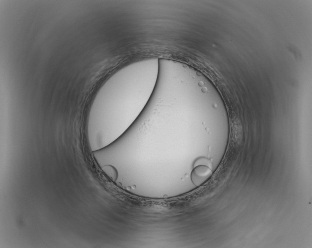 X0000115830594200911131129