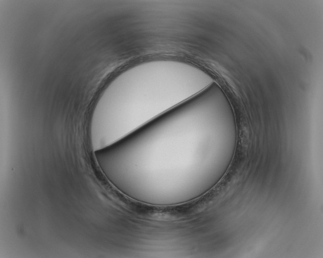 X0000115830596200911131129