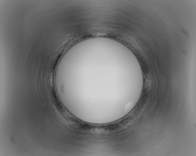 X0000115830598200911131129