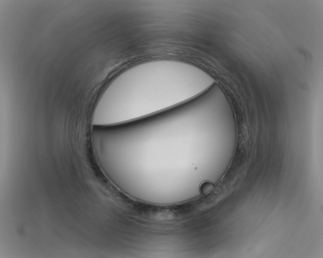 X0000115830600200911131129