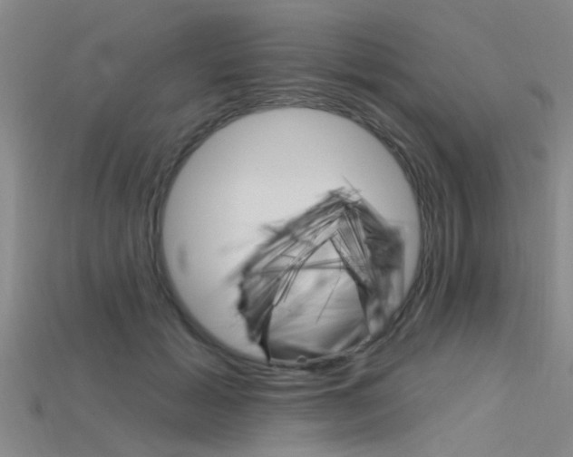 X0000115830605200911131128