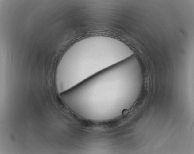 X0000115830608200911131128