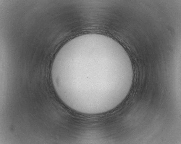 X0000115830609200911131128