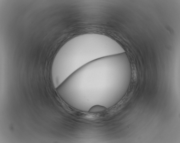X0000115830611200911131128