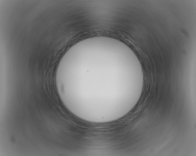 X0000115830613200911131128