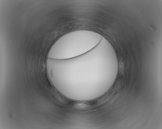 X0000115830614200911131128