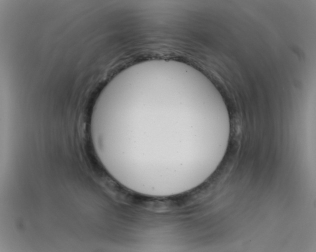X0000115830615200911131128