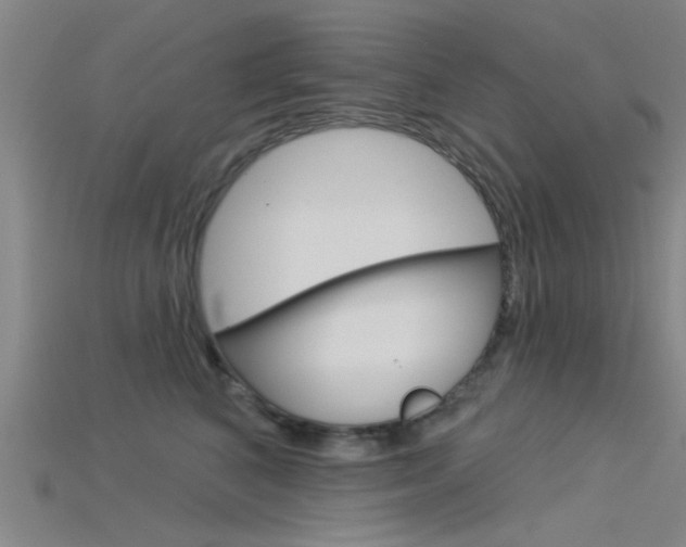 X0000115830616200911131128
