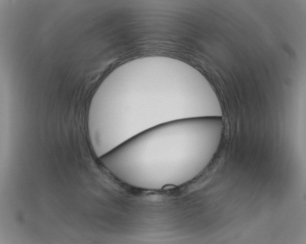 X0000115830620200911131128