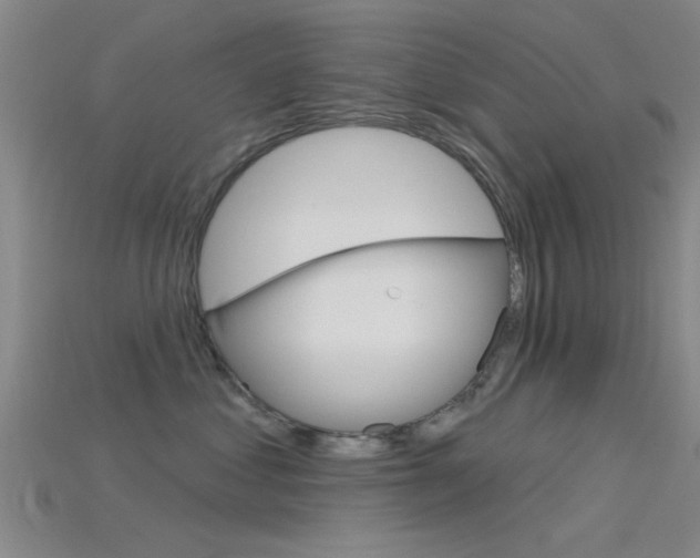 X0000115830621200911131128